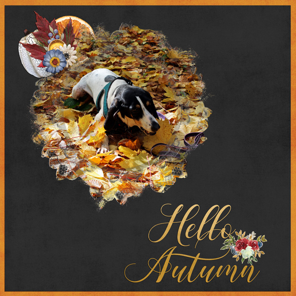 cute autumn memories