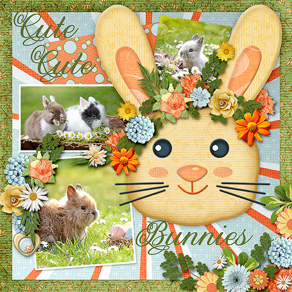 Cute Bunnies