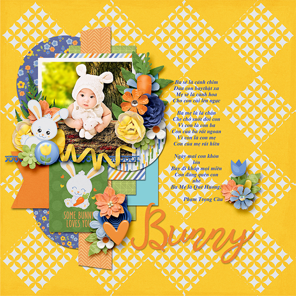 Cute bunny
