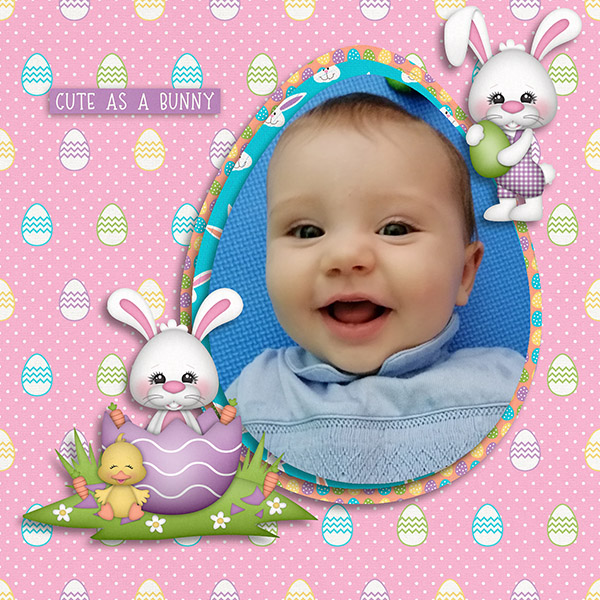 Cute Bunny