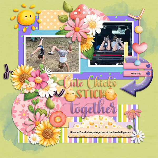 Cute Chicks Stick Together