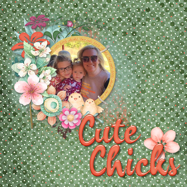 Cute Chicks