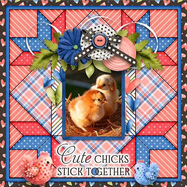 Cute Chicks