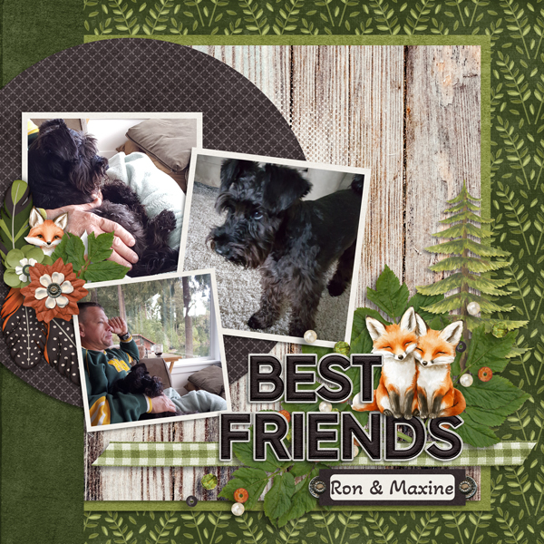 Cute Critters Foxes bundle from Designs by Connie Prince