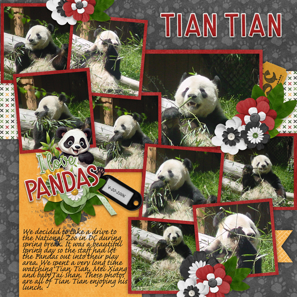 Cute Critters Pandas with Pics Galore Temps 40 #3-Connie Prince