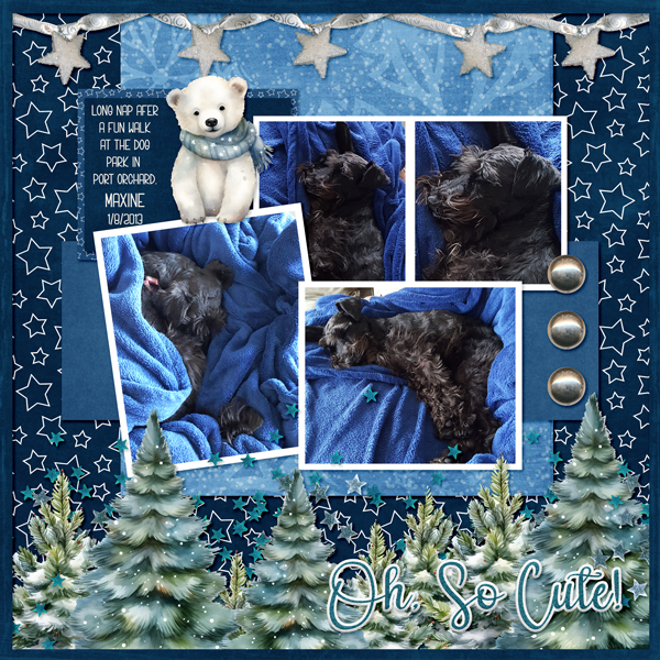 Cute Critters Polar Bears kit from Designs by Connie Prince