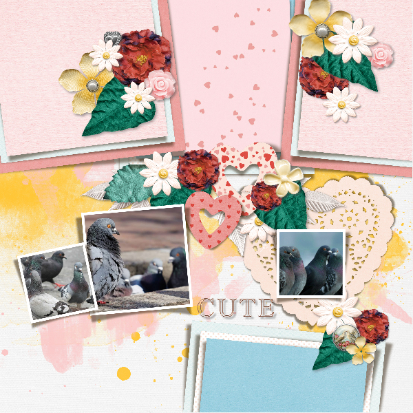 Cute doves