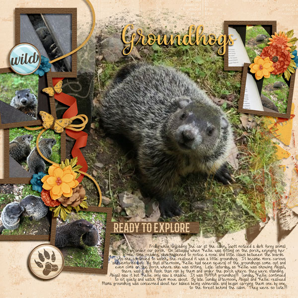 Cute Groundhogs 5.22.20