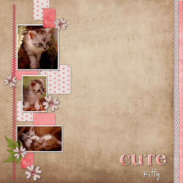 Cute Kitty