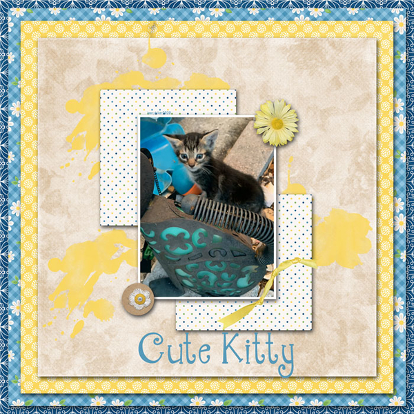 Cute Kitty