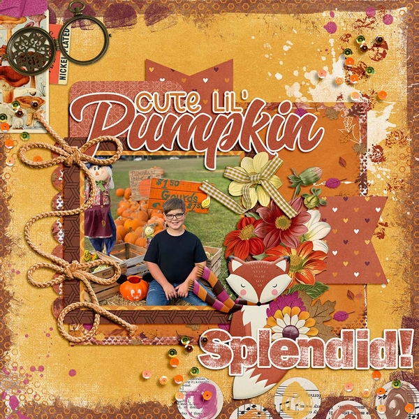 Cute Lil' Pumpkin
