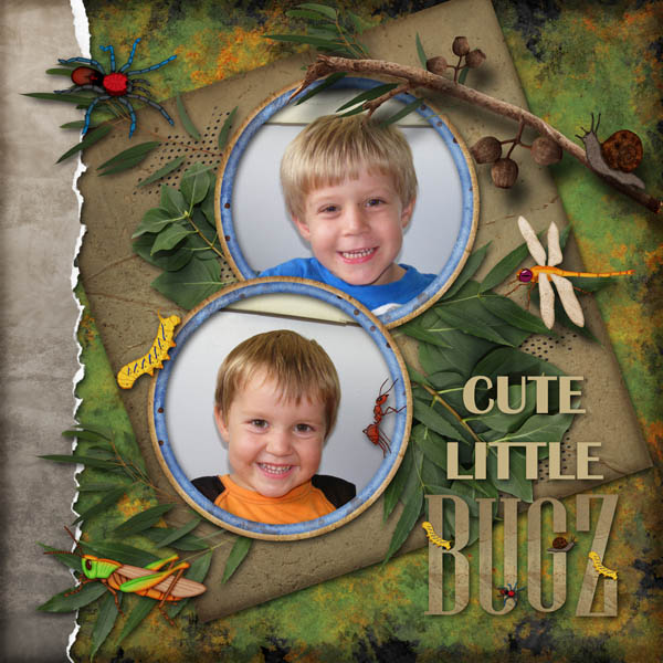 Cute little Bugz