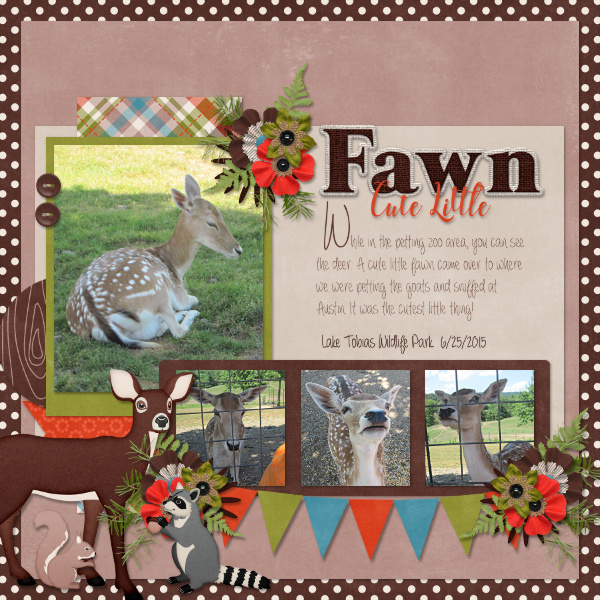 Cute Little Fawn