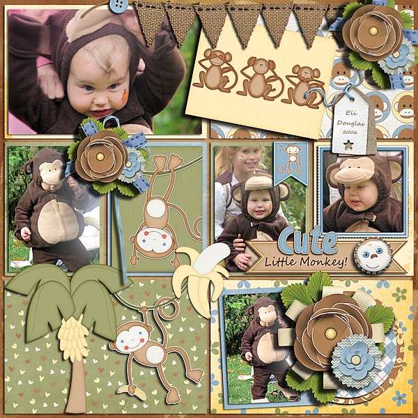Cute little Monkey