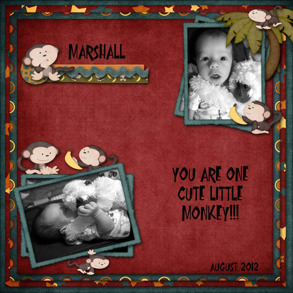 Cute Little Monkey