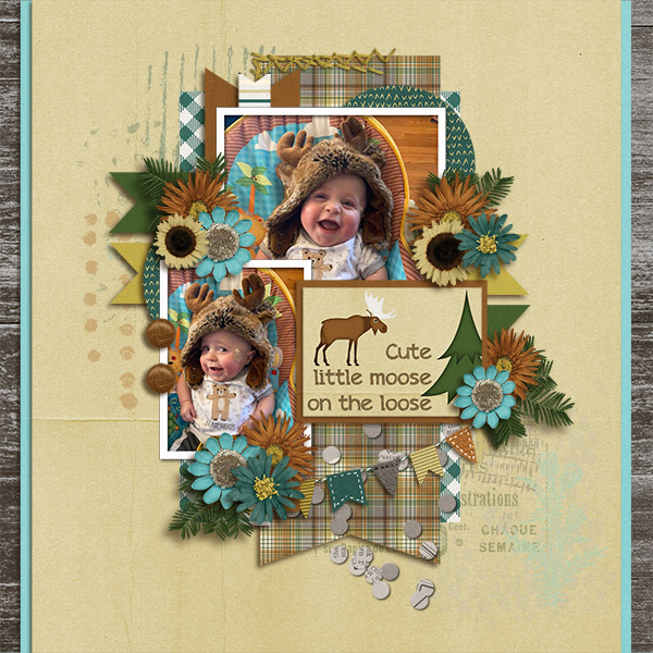 Cute Moose