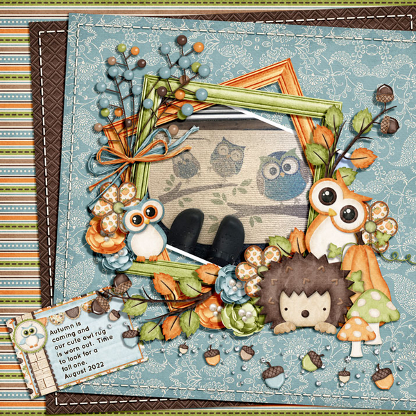 CUTE OWL RUG
