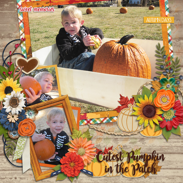cute pumpkin