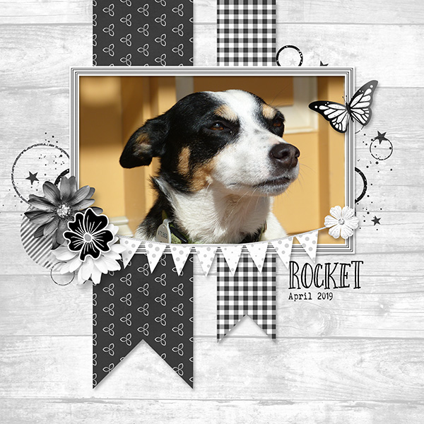 Cute Rocket