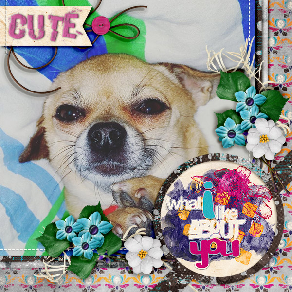Cute12