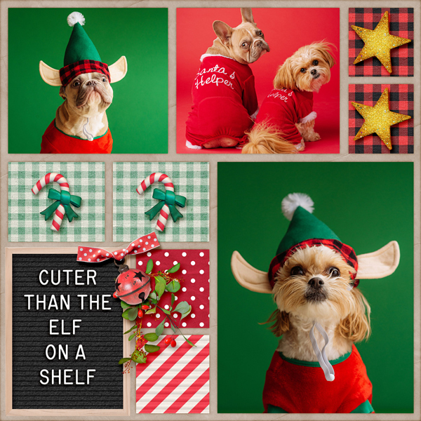 Cuter Than an Elf