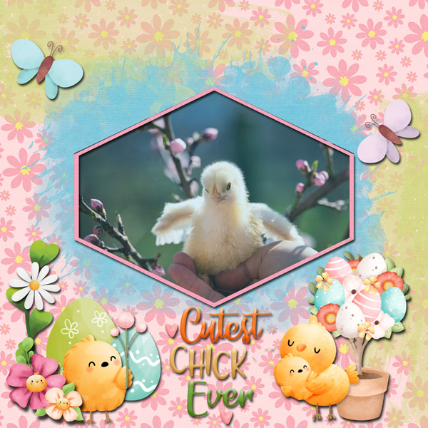 Cutest Chick Ever