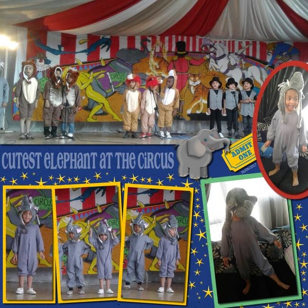 Cutest Elephant at the Circus