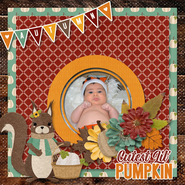 Cutest Lil Pumpkin