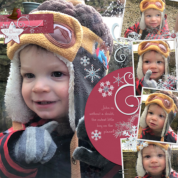 Cutest Little Boy on the Planet