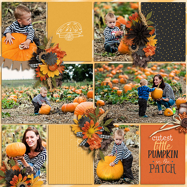 Cutest Little Pumpkin