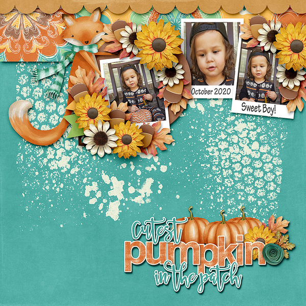 Cutest Little Pumpkin