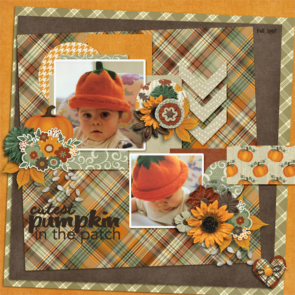 Cutest Pumpkin in the Patch