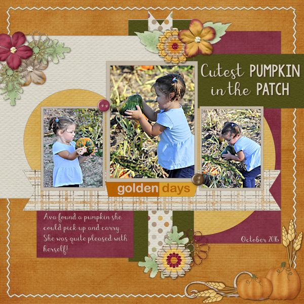 Cutest Pumpkin in the Patch
