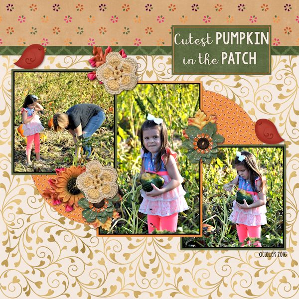 Cutest Pumpkin in the Patch