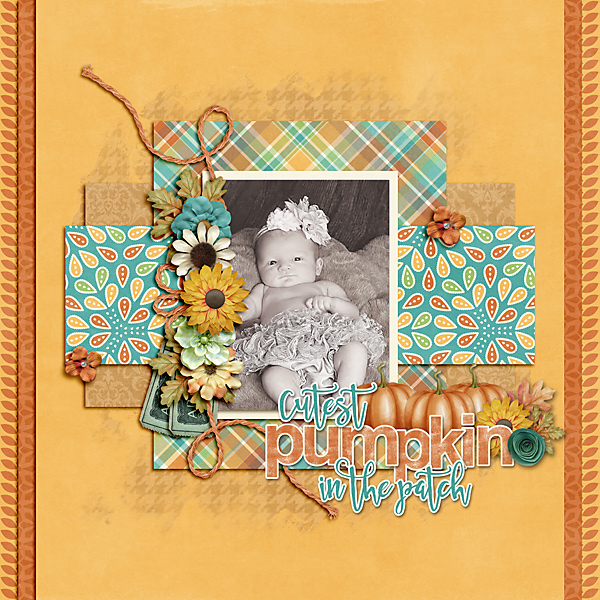 Cutest Pumpkin In The Patch