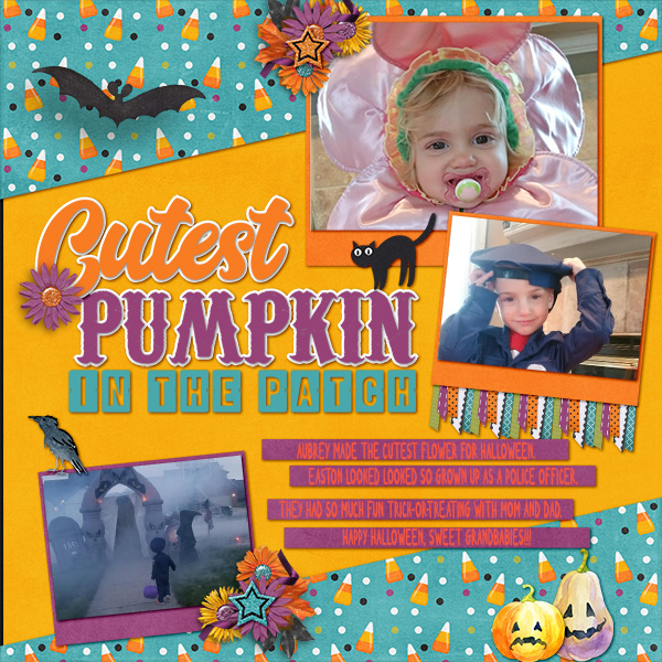 Cutest Pumpkin in the Patch