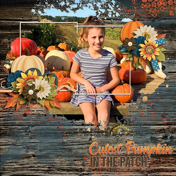 Cutest pumpkin in the patch