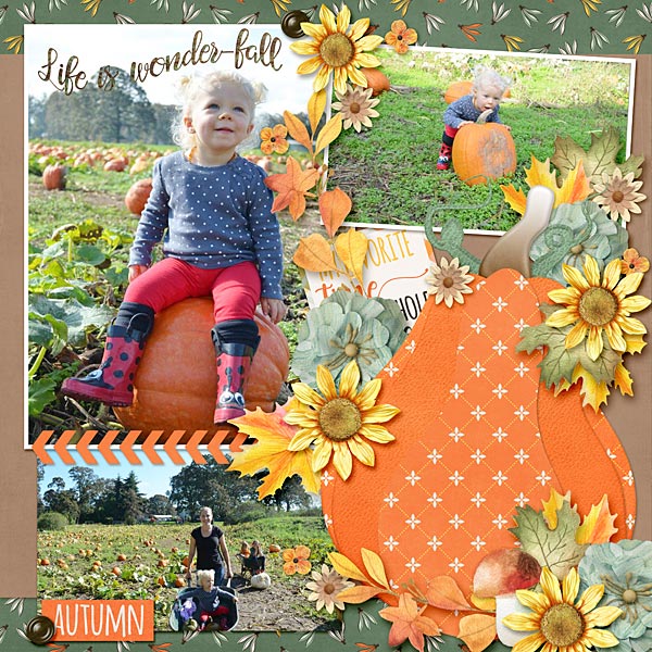 Cutest Pumpkin in the Patch