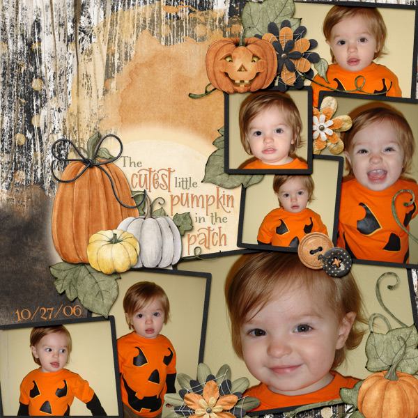 Cutest Pumpkin the Patch