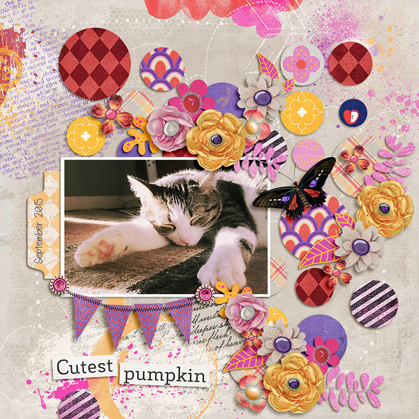 cutest pumpkin