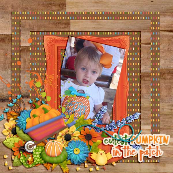 Cutest Pumpkin