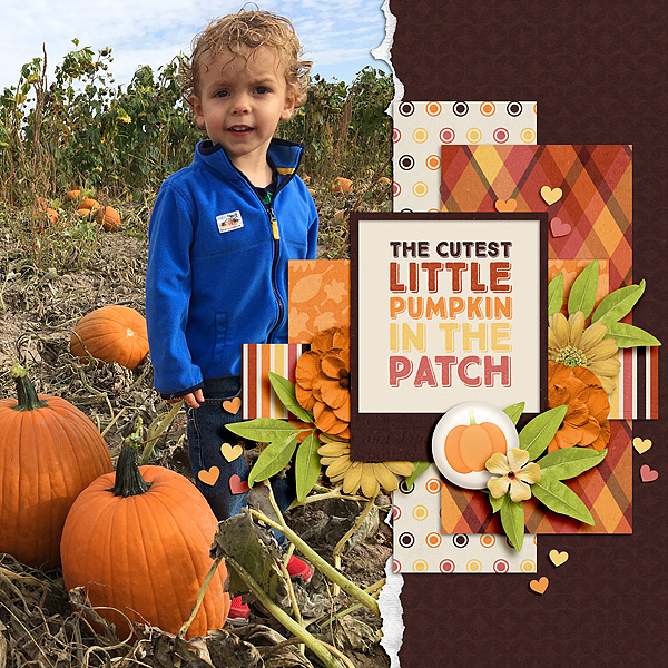 Cutest Pumpkin
