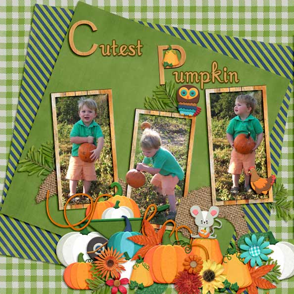 Cutest Pumpkin