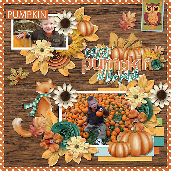 Cutest Pumpkin