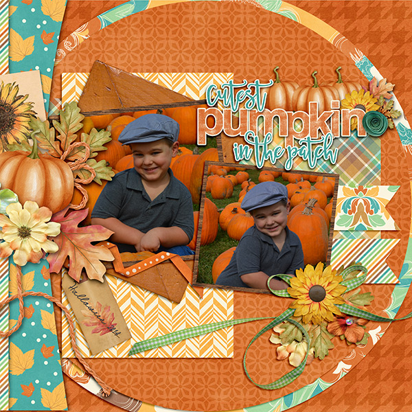 Cutest Pumpkin