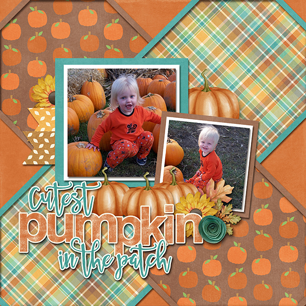 Cutest Pumpkin