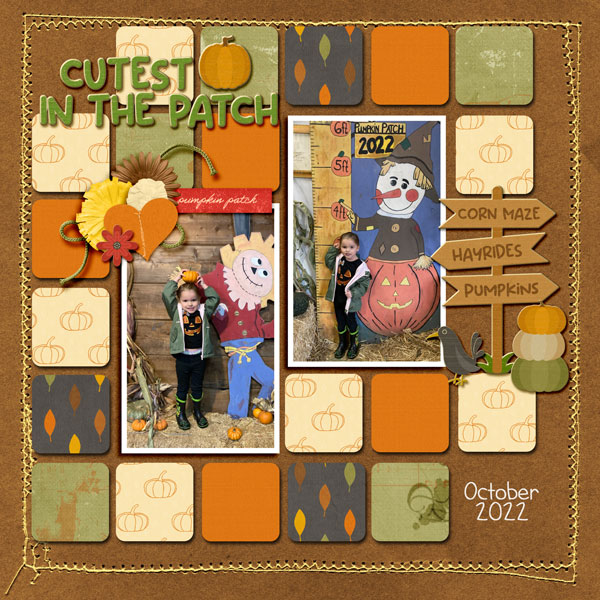 Cutest Pumpkin