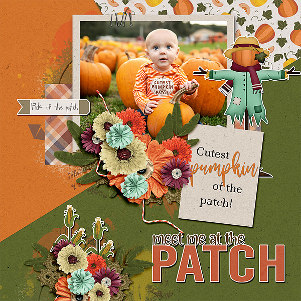 Cutest Pumpkin