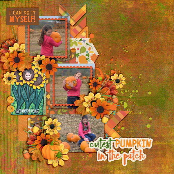Cutest-Pumpkin1