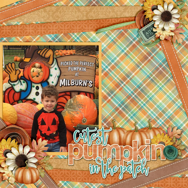 Cutest-Pumpkin3